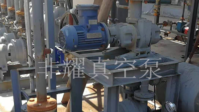 要做好ZJP羅茨真空泵穩(wěn)定運(yùn)行【非耀】