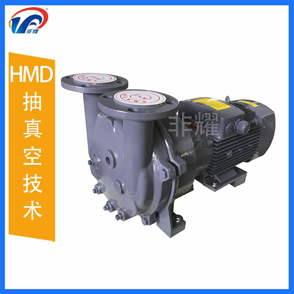 2BV水環(huán)式真空泵