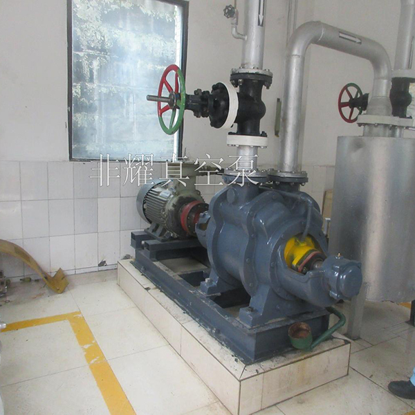 變頻水環(huán)真空泵