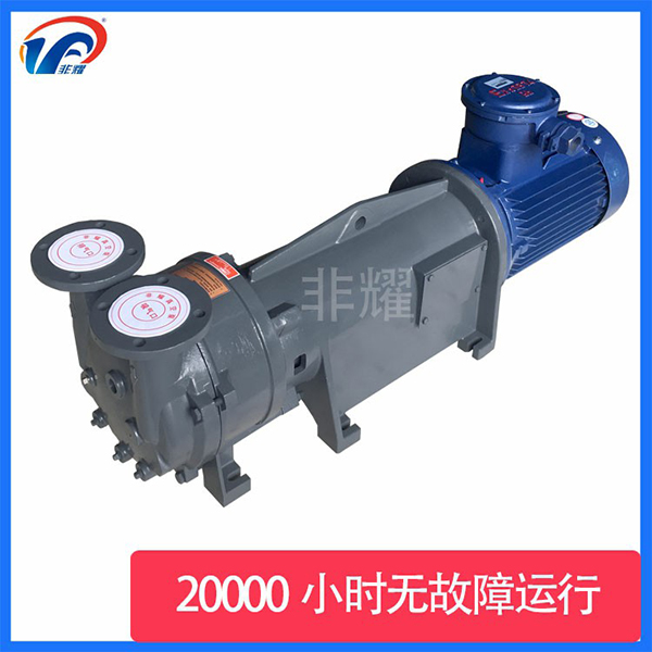 2BV型水環(huán)真空泵