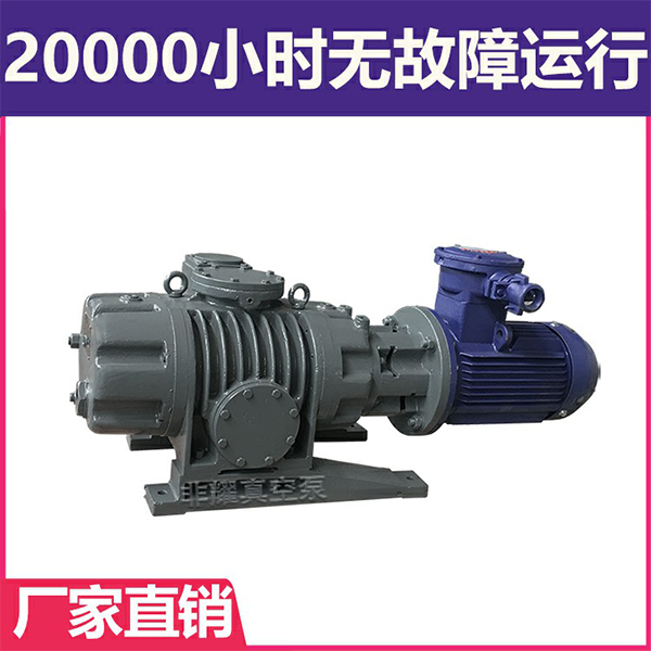 三級(jí)羅茨真空泵