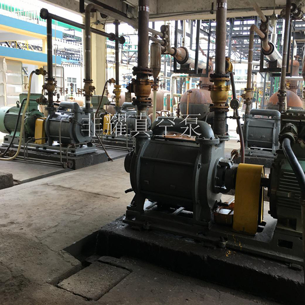 2SK水環(huán)式真空泵