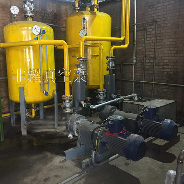耐腐蝕水環(huán)式真空泵