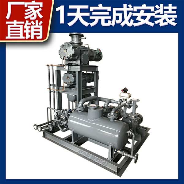 羅茨水環(huán)真空泵機組