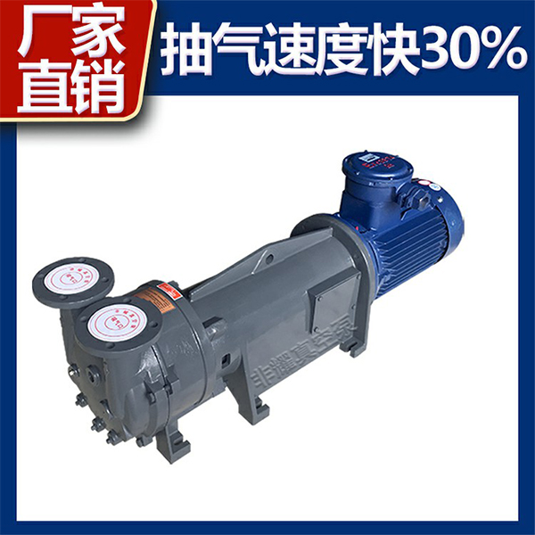 2BV水環(huán)式真空泵