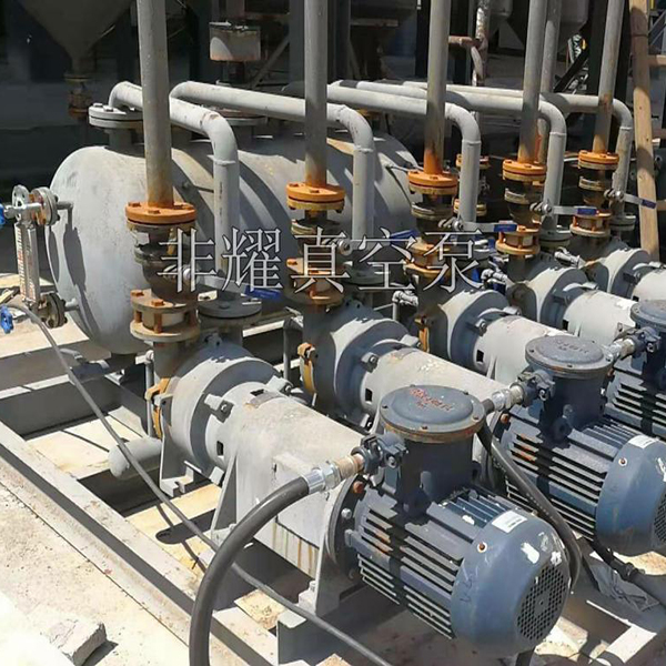 2BV水環(huán)式真空泵