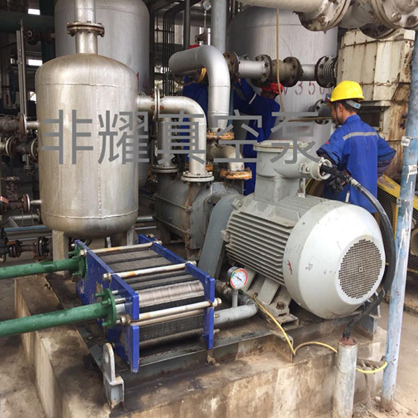 耐腐蝕水環(huán)真空泵