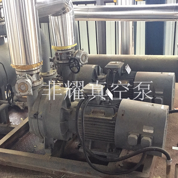 水環(huán)真空泵葉輪