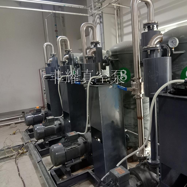 2BV水環(huán)式真空泵