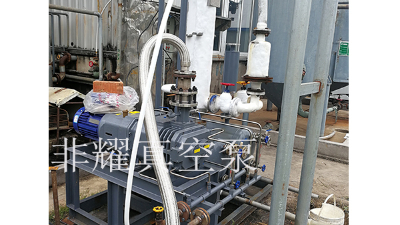 螺桿真空泵型號(hào)這樣選擇沒(méi)問(wèn)題【非耀】