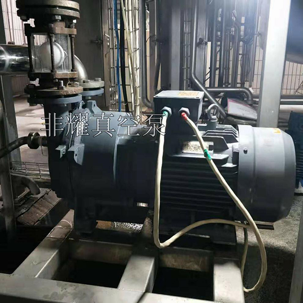2BV水環(huán)真空泵