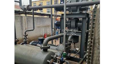 導(dǎo)致耐腐蝕羅茨真空泵真空度不高的原因【非耀】