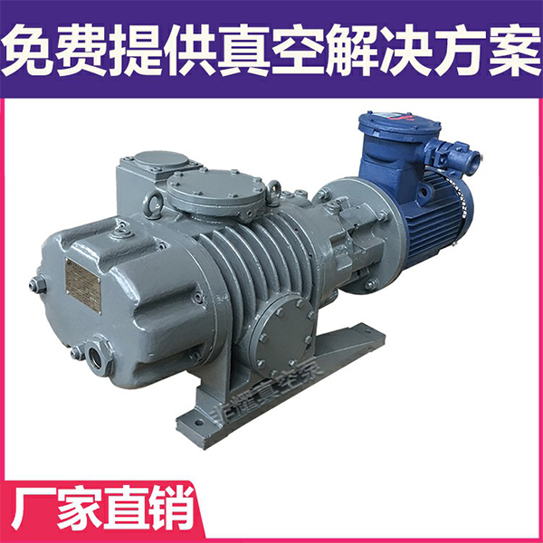 ZJP羅茨真空泵