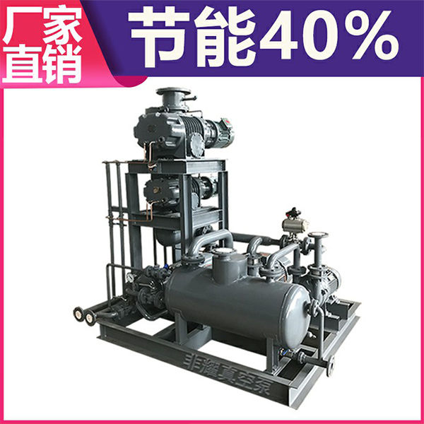 羅茨水環(huán)真空泵機組