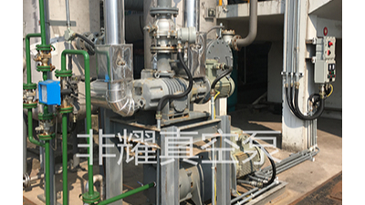 羅茨水環(huán)真空泵機組節(jié)能就問你想不想要【非耀】
