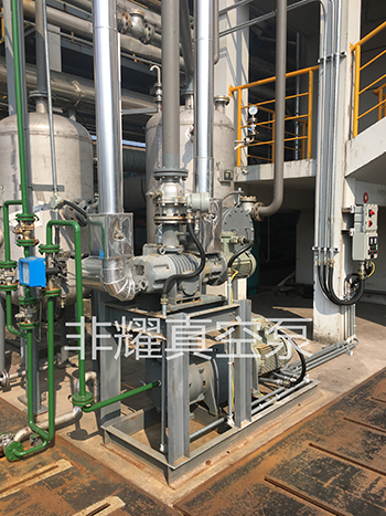 羅茨真空泵廠家