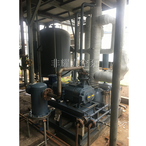 干式無(wú)油螺桿真空泵