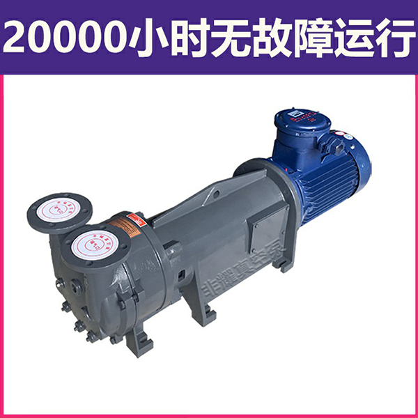 防爆水環(huán)真空泵