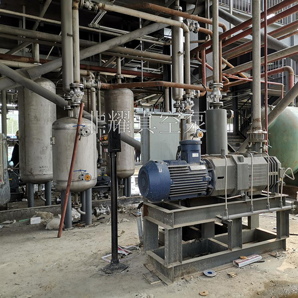 耐腐蝕螺桿真空泵