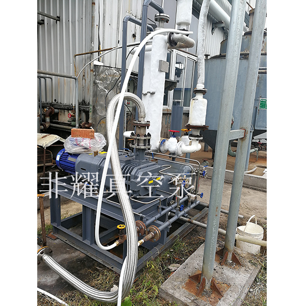 無油螺桿真空泵