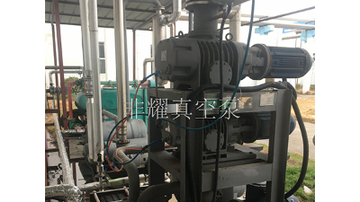 大概是學(xué)會(huì)了真空機(jī)組維修【非耀】