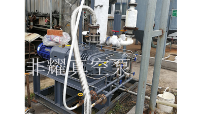 按需可做定制款干式螺桿真空泵【非耀】