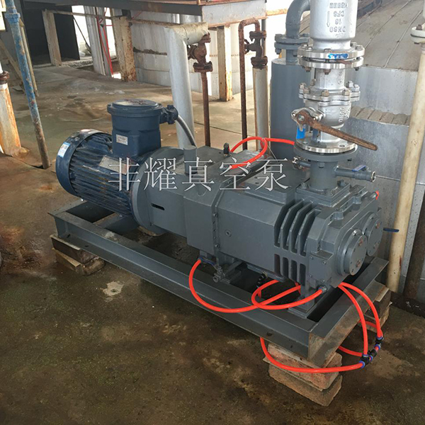 耐腐蝕螺桿真空泵