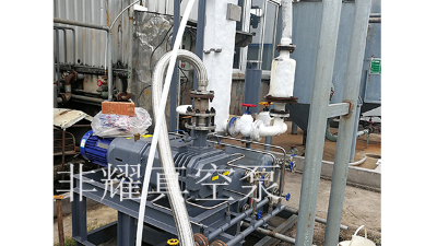 查看無油螺桿真空泵優(yōu)缺點，打破困境【非耀】