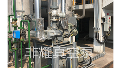 耐腐蝕羅茨真空泵發(fā)熱震動是什么原因，想太多【非耀】