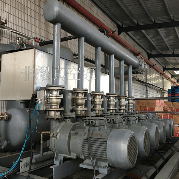 防爆水環(huán)真空泵