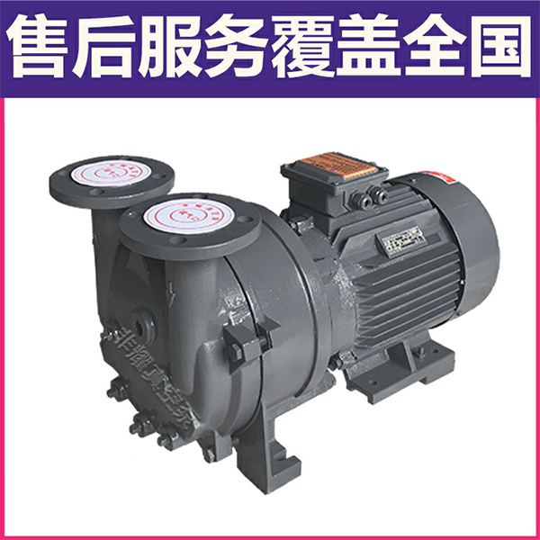 防爆水環(huán)真空泵