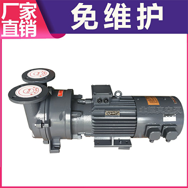 防爆水環(huán)真空泵