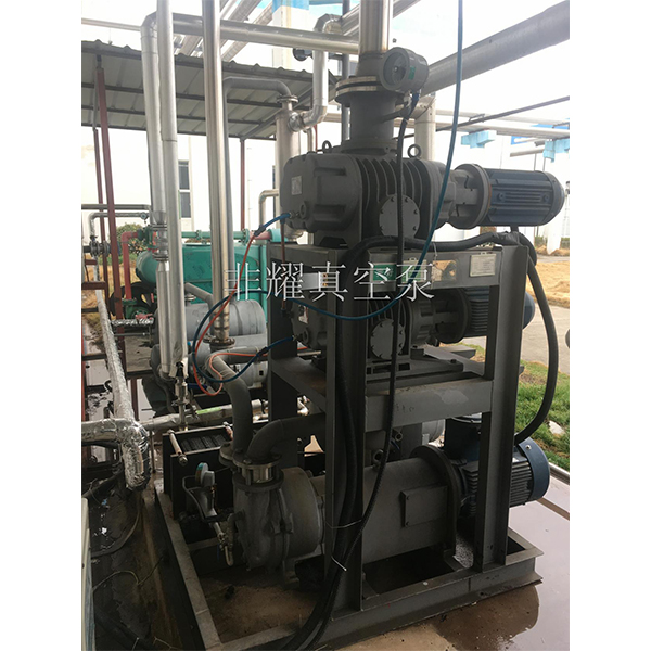 三級(jí)羅茨真空泵