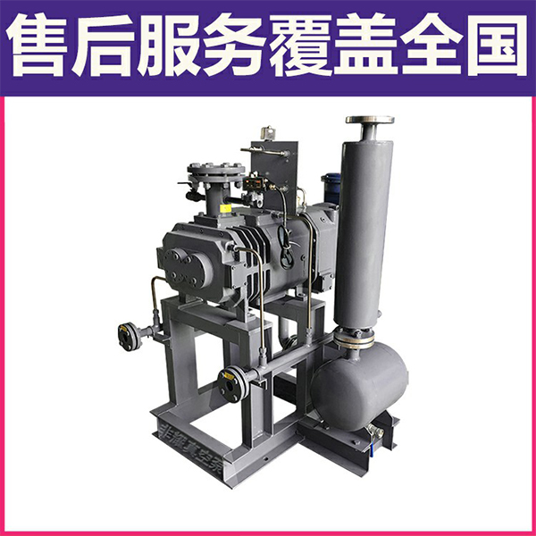 螺桿式真空泵汽蝕