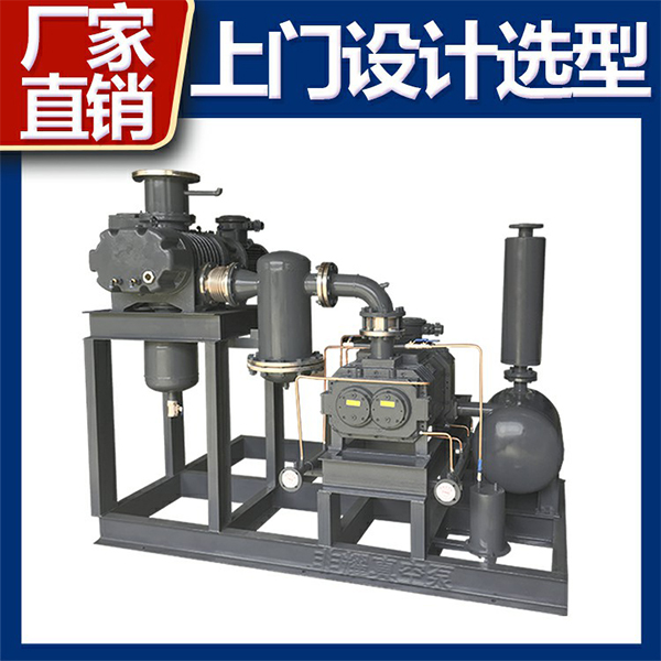 羅茨真空泵機(jī)組型號(hào)
