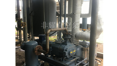 詳細(xì)分析干式螺桿真空泵的優(yōu)點有哪些【非耀】