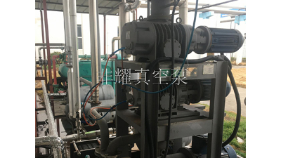 這樣羅茨真空泵機(jī)組型號(hào)容易選【非耀】