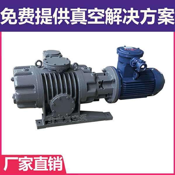 多級(jí)羅茨真空泵