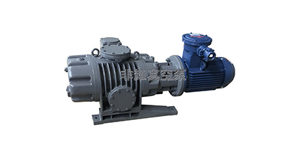 三級羅茨真空泵出現(xiàn)碰撞如何處理，解決方法透徹【非耀】