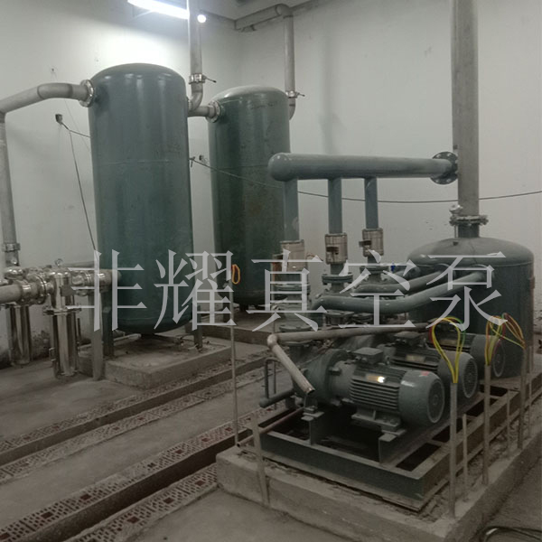 防爆水環(huán)真空泵